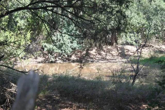 a view of a field of grass and trees