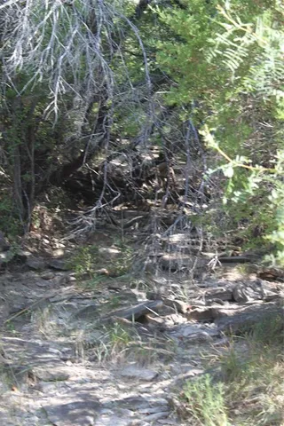 a view of a lake view with a wooden fence
