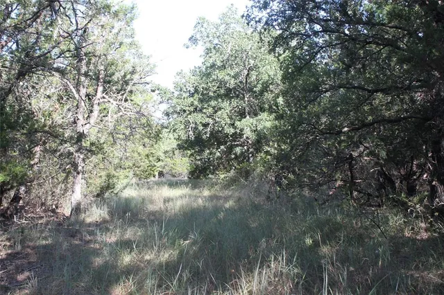 a view of a lake with a city