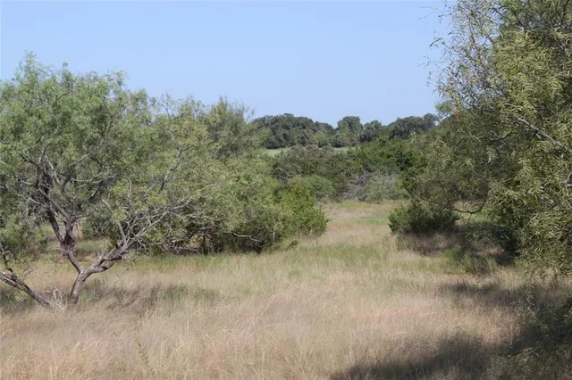a view of a yard with a tree