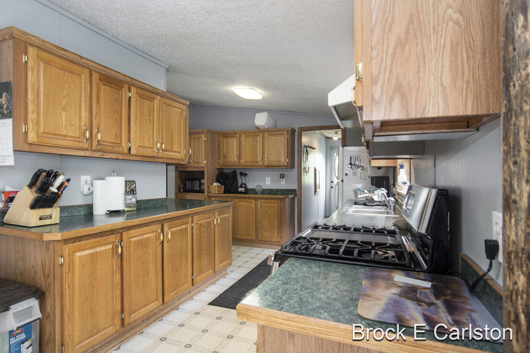 1845 Shaw Road Bailey, MI 49303 - Photo 11 of 38 DSC06551