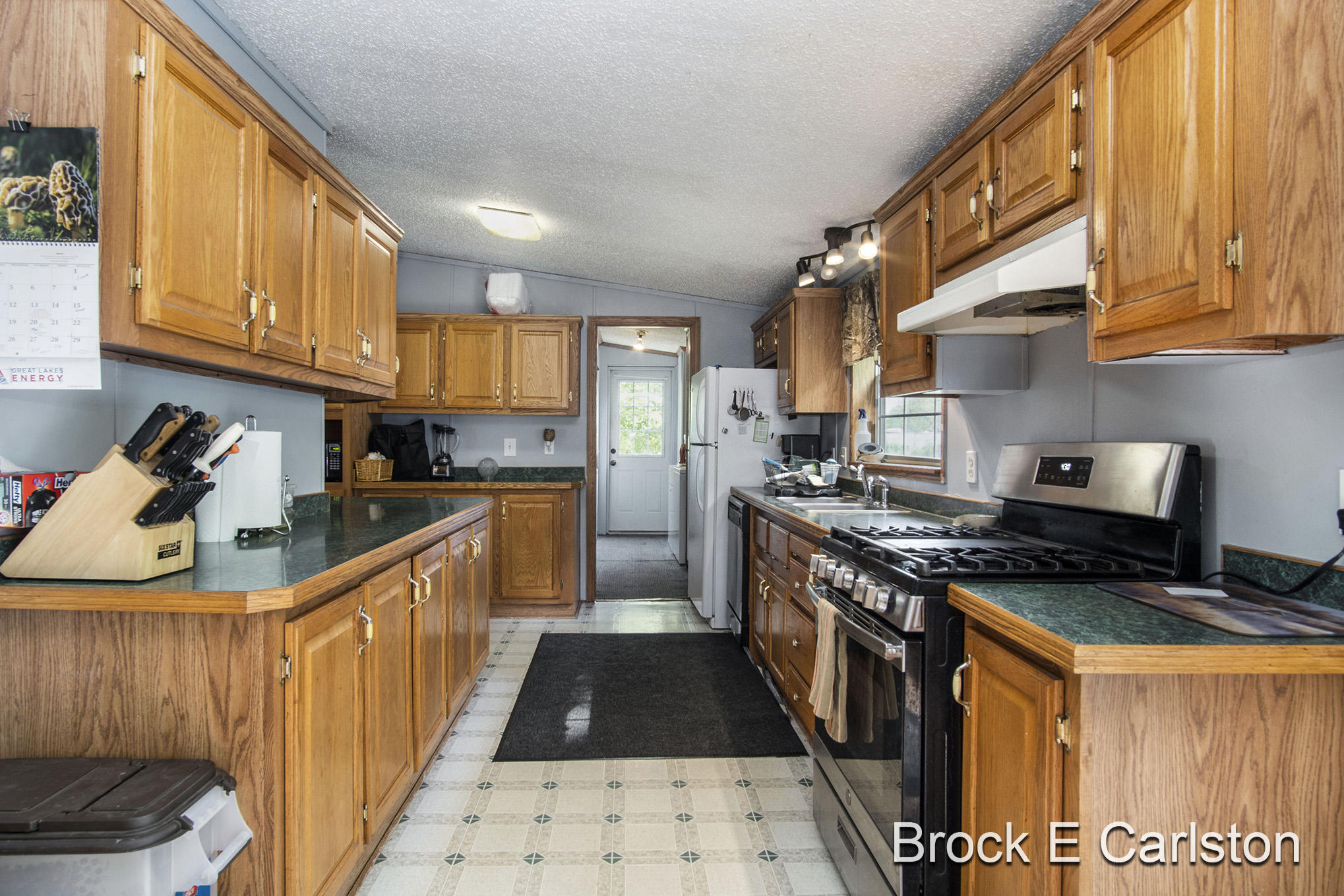 1845 Shaw Road Bailey, MI 49303 - Photo 12 of 38 DSC06553