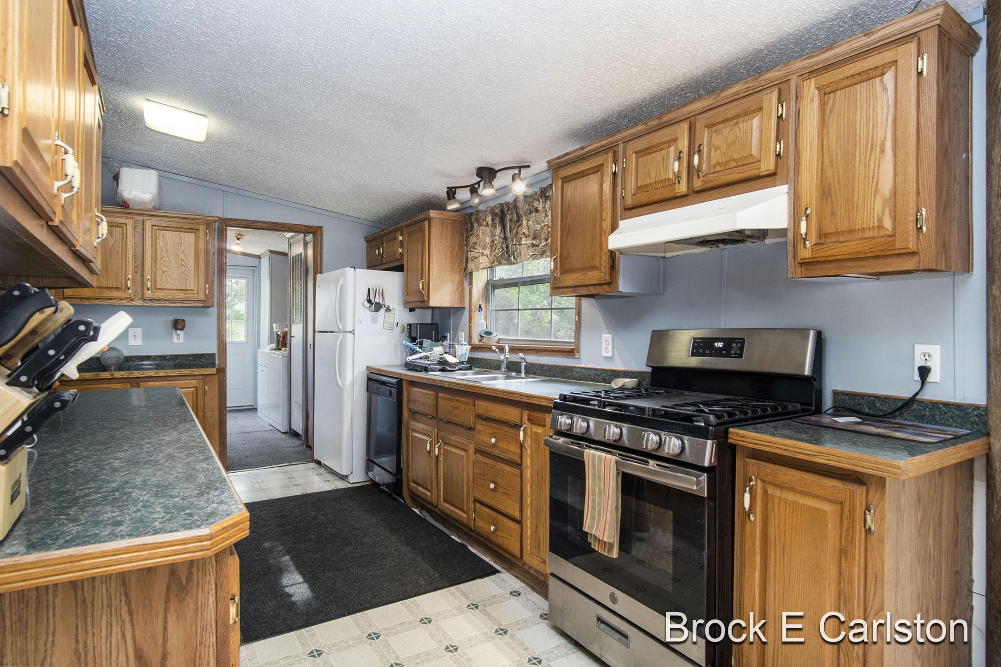 1845 Shaw Road Bailey, MI 49303 - Photo 13 of 38 DSC06555