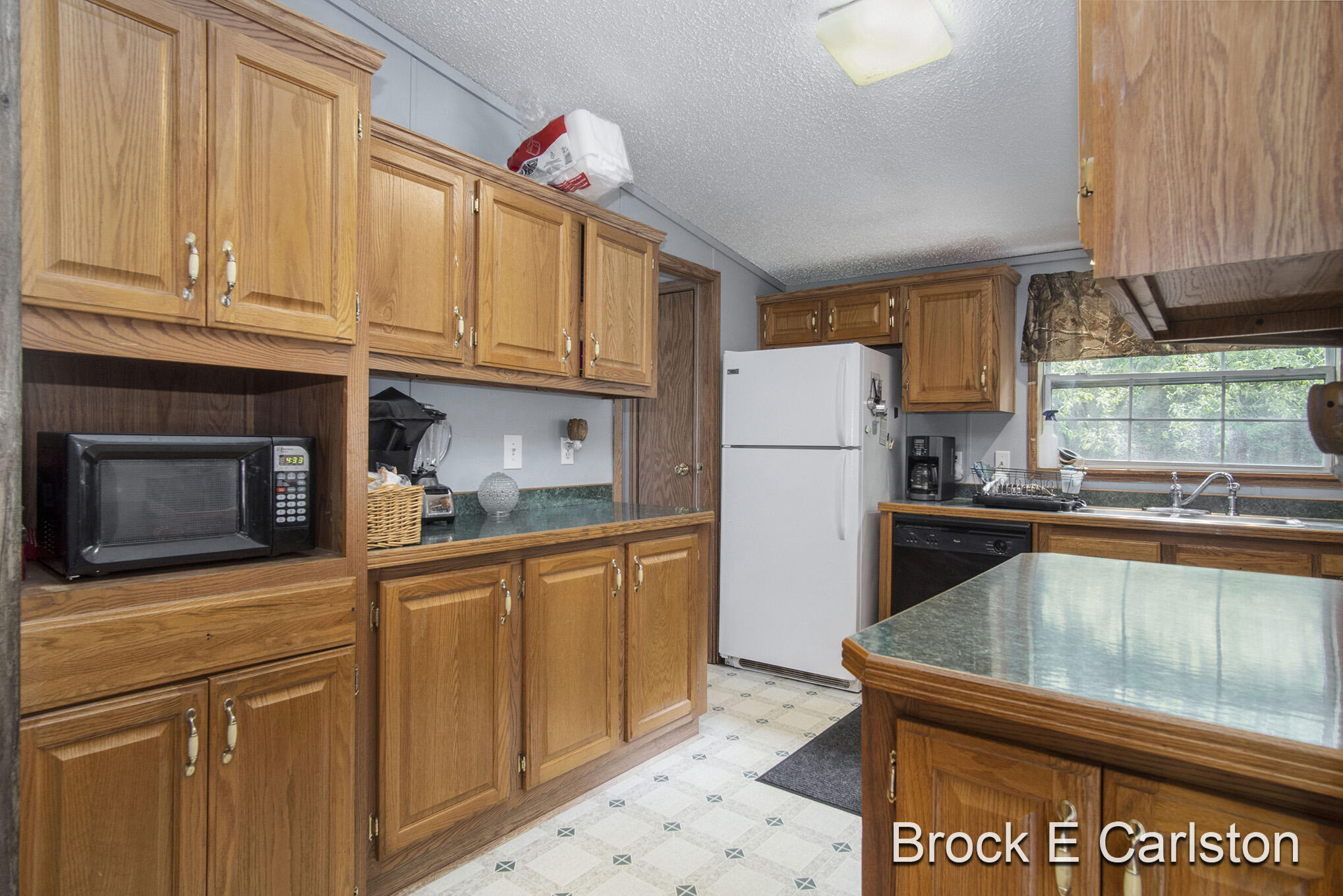 1845 Shaw Road Bailey, MI 49303 - Photo 14 of 38 DSC06564