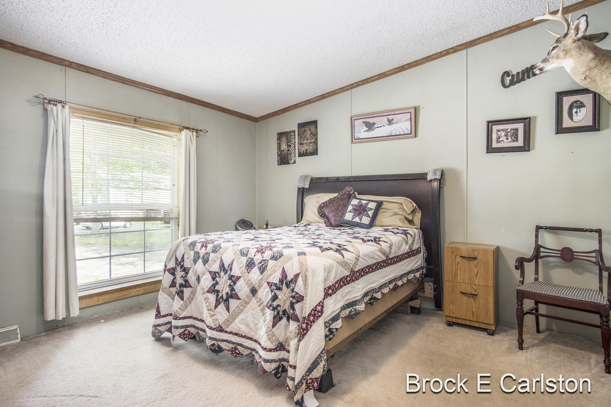 1845 Shaw Road Bailey, MI 49303 - Photo 16 of 38 DSC06567