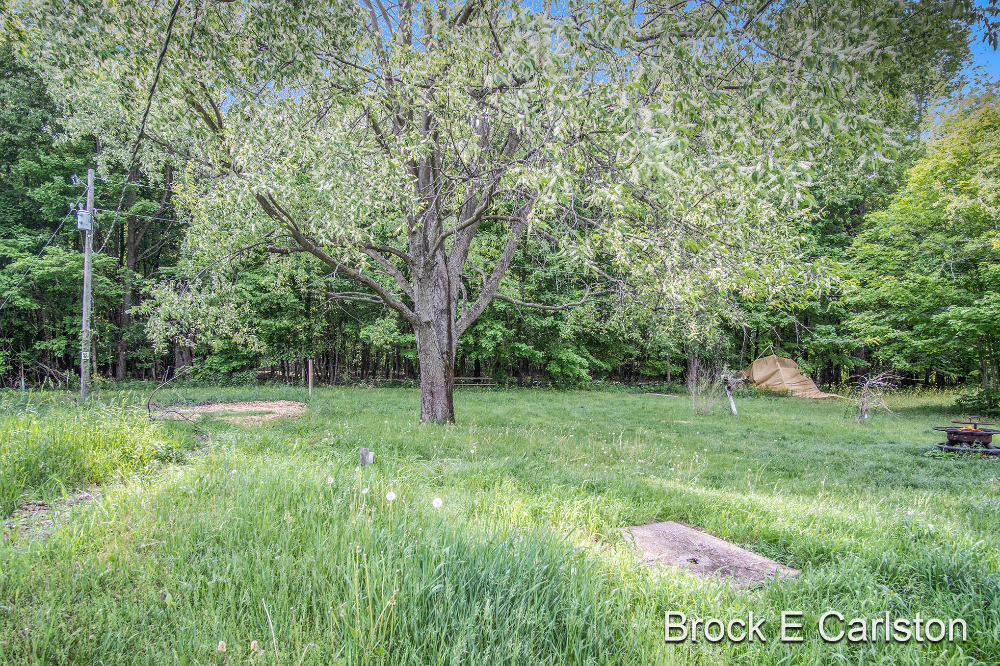 1845 Shaw Road Bailey, MI 49303 - Photo 34 of 38 DSC06590