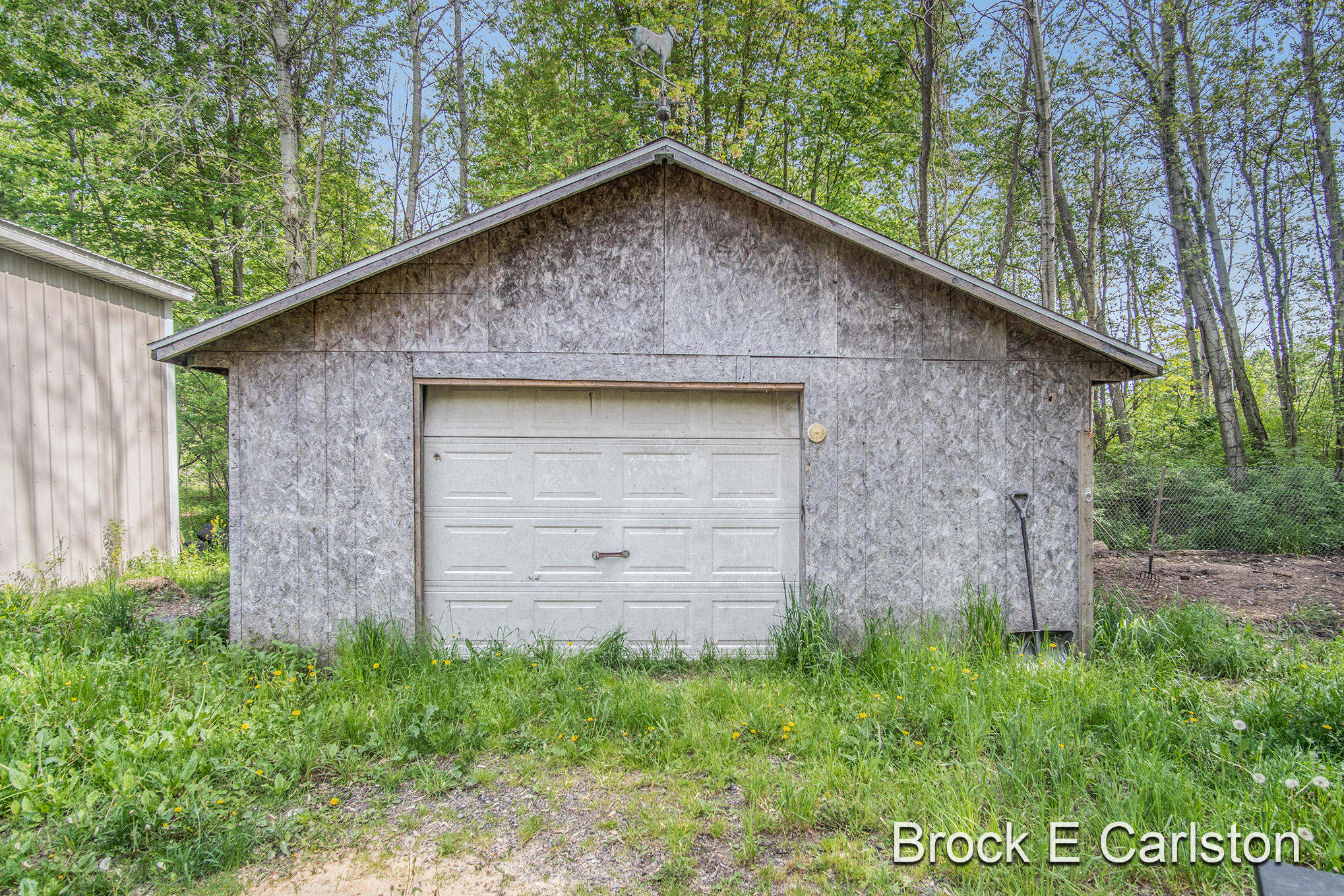 1845 Shaw Road Bailey, MI 49303 - Photo 36 of 38 DSC06596