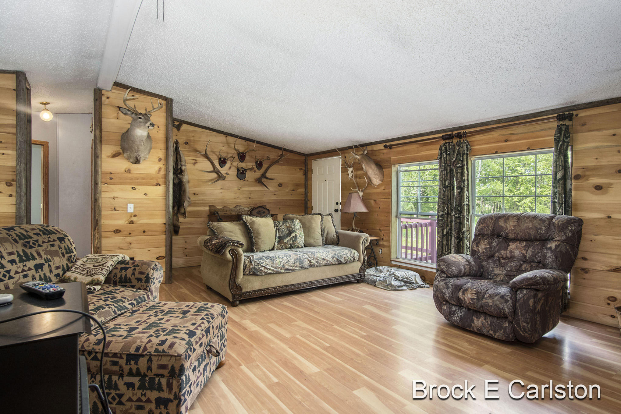 1845 Shaw Road Bailey, MI 49303 - Photo 4 of 38 DSC06545