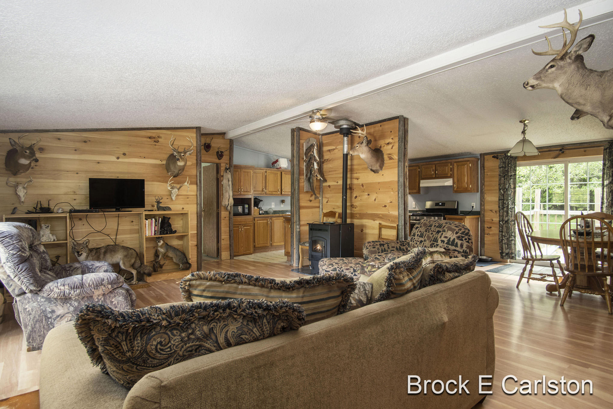 1845 Shaw Road Bailey, MI 49303 - Photo 6 of 38 DSC06539