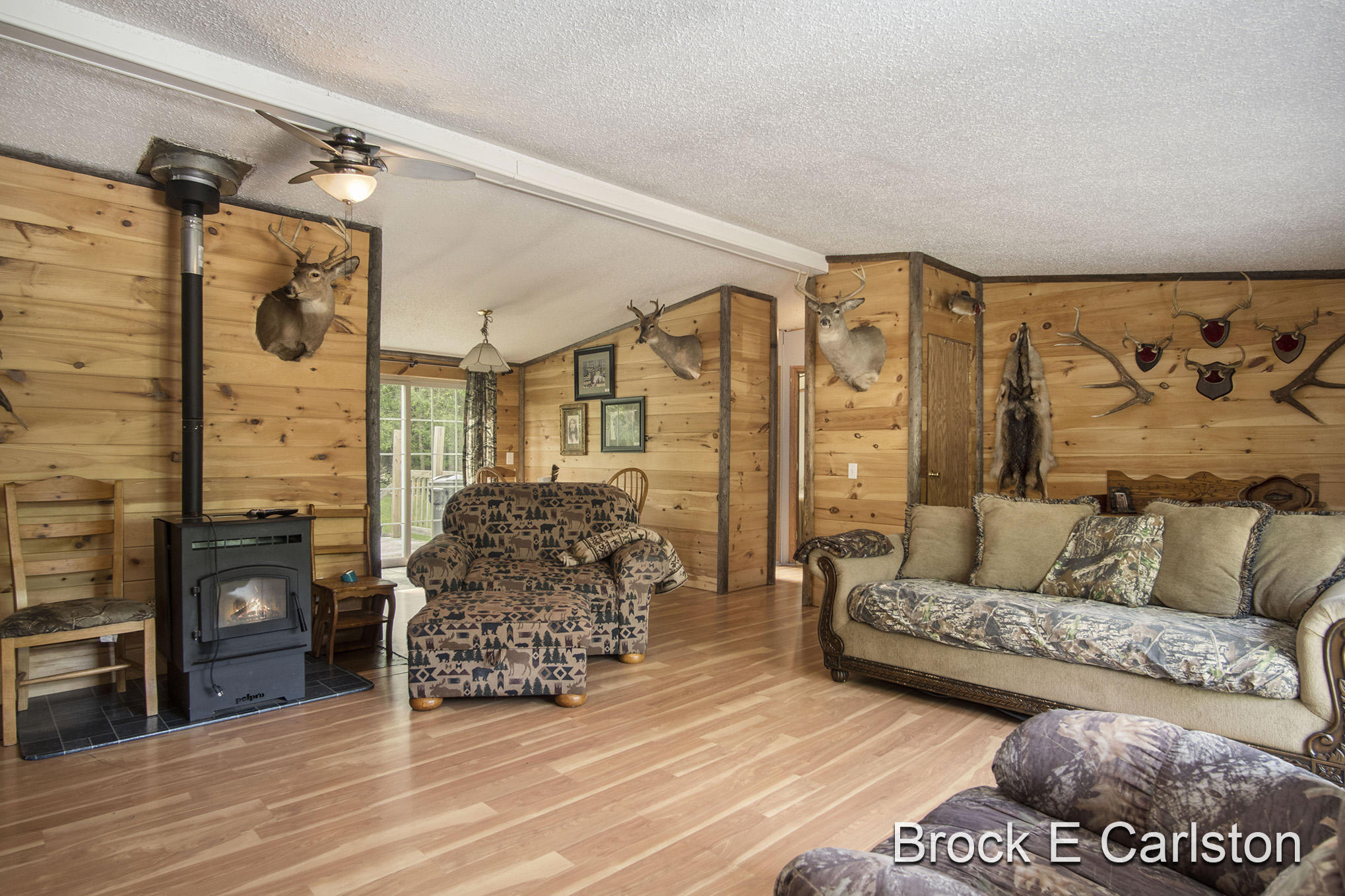 1845 Shaw Road Bailey, MI 49303 - Photo 7 of 38 DSC06543