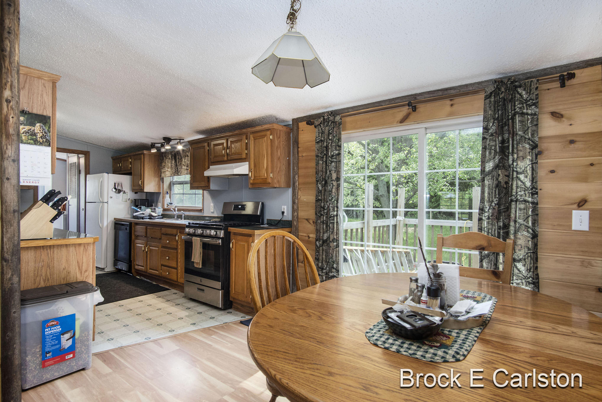 1845 Shaw Road Bailey, MI 49303 - Photo 8 of 38 DSC06547