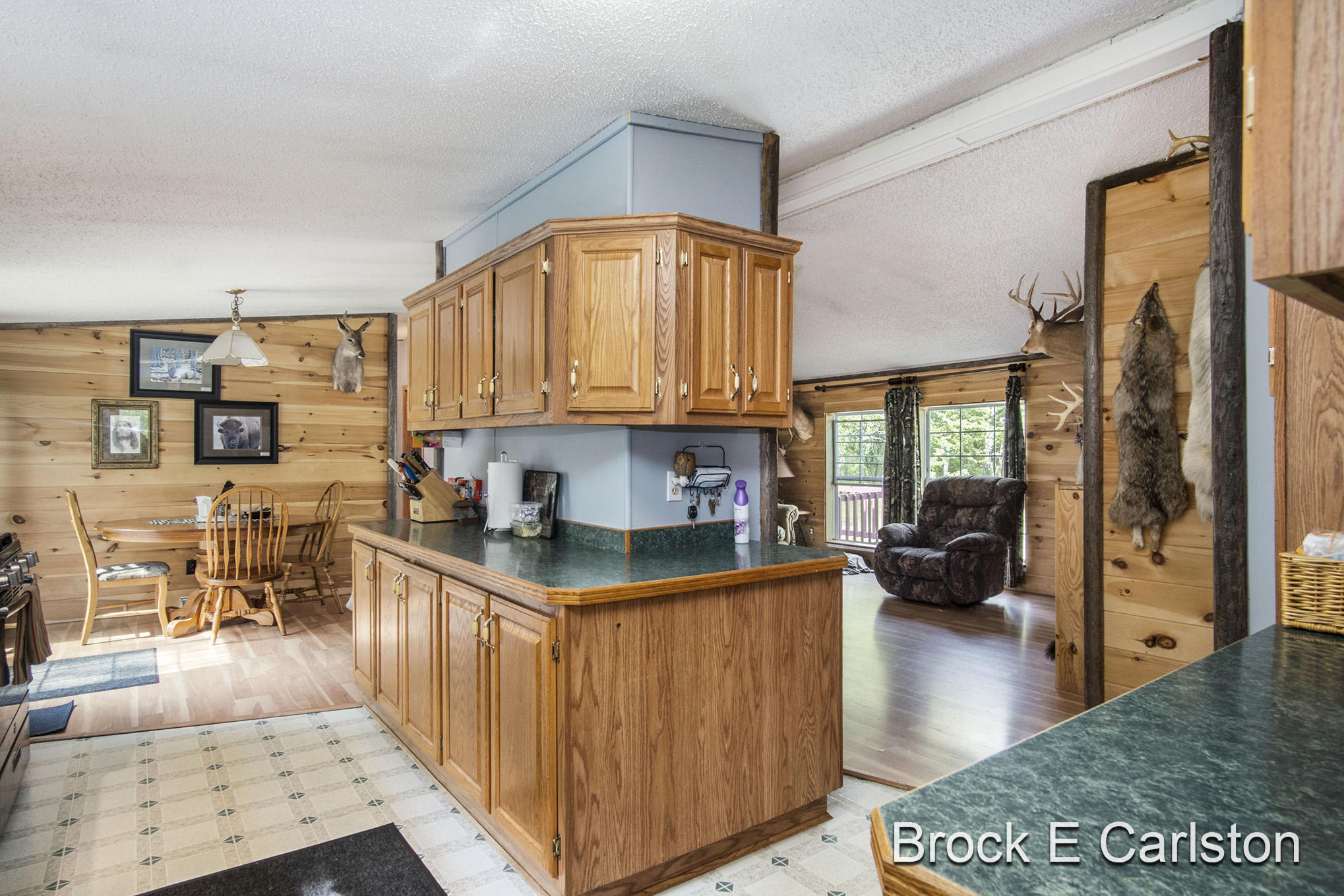 1845 Shaw Road Bailey, MI 49303 - Photo 10 of 38 DSC06557