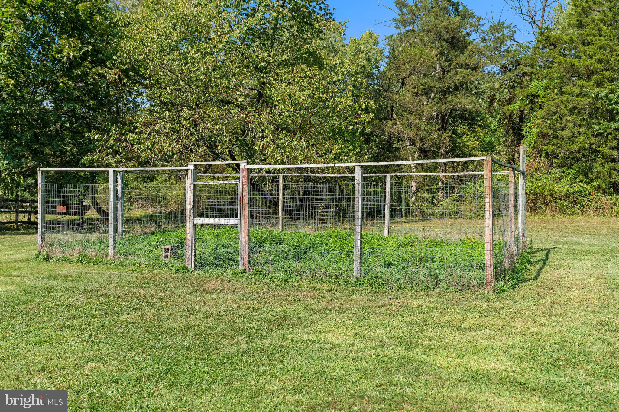 281 Pennington - Harbourton Road Pennington, NJ 08534 - Photo 4 of 35 a view of lush green space