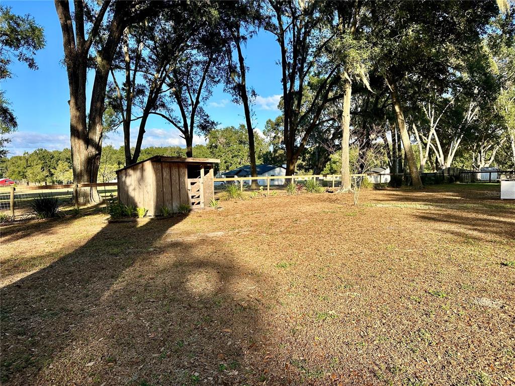 13565 Northeast 38th Avenue Anthony, FL 32617 - Photo 24 of 39 a view of a yard with plants and trees
