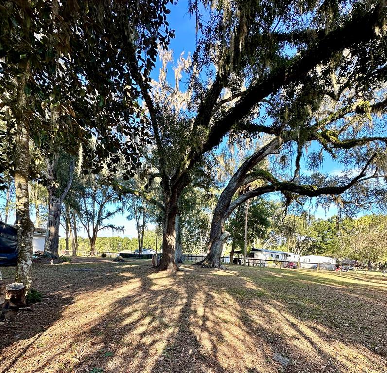 13565 Northeast 38th Avenue Anthony, FL 32617 - Photo 27 of 39 a view of a yard with a tree