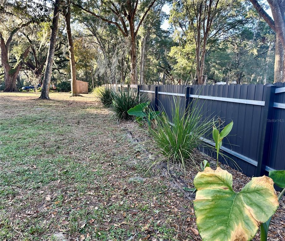 13565 Northeast 38th Avenue Anthony, FL 32617 - Photo 29 of 39 a plant is sitting in the middle of a backyard