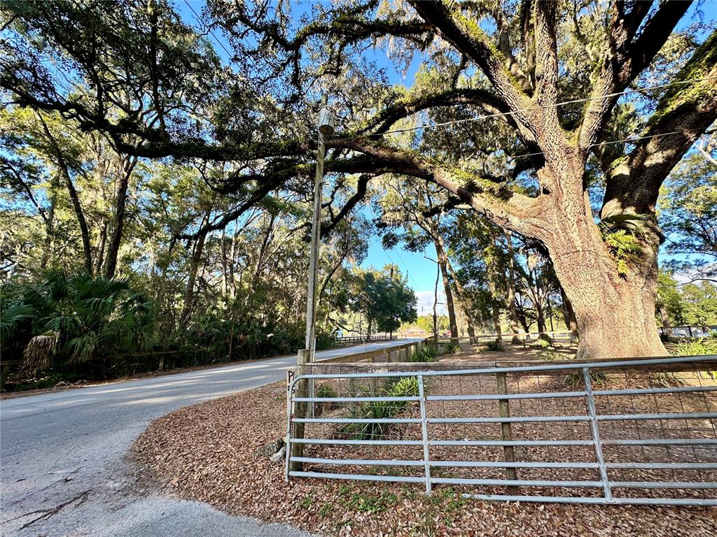 13565 Northeast 38th Avenue Anthony, FL 32617 - Photo 33 of 39 a view of outdoor space with deck and tree