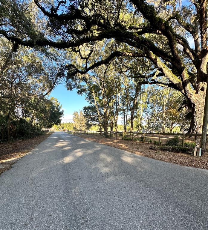 13565 Northeast 38th Avenue Anthony, FL 32617 - Photo 34 of 39 a view of street next to a road