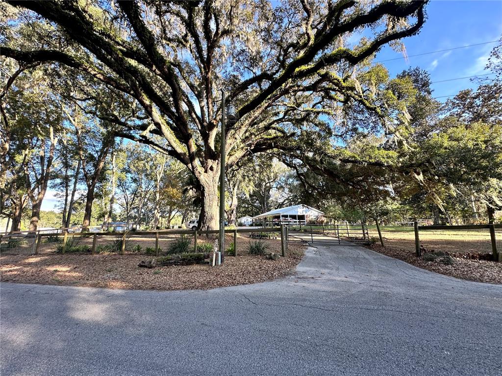 13565 Northeast 38th Avenue Anthony, FL 32617 - Photo 35 of 39 a view of outdoor space with deck and tree