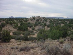 Howard Road Kingman, AZ 86401 - Photo 1 of 4 Primary Photo