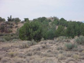 Howard Road Kingman, AZ 86401 - Photo 2 of 4 Additional Photo
