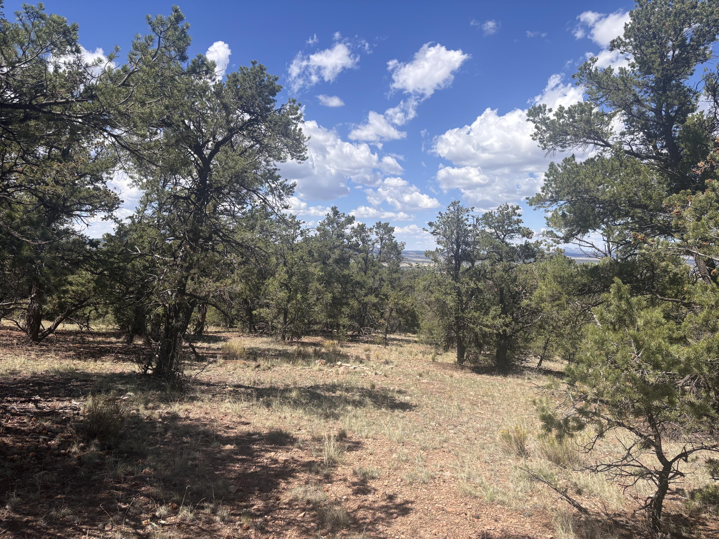 23 Tee Pee Trail Datil, NM 87821 - Photo 10 of 15 Gallery Image 10