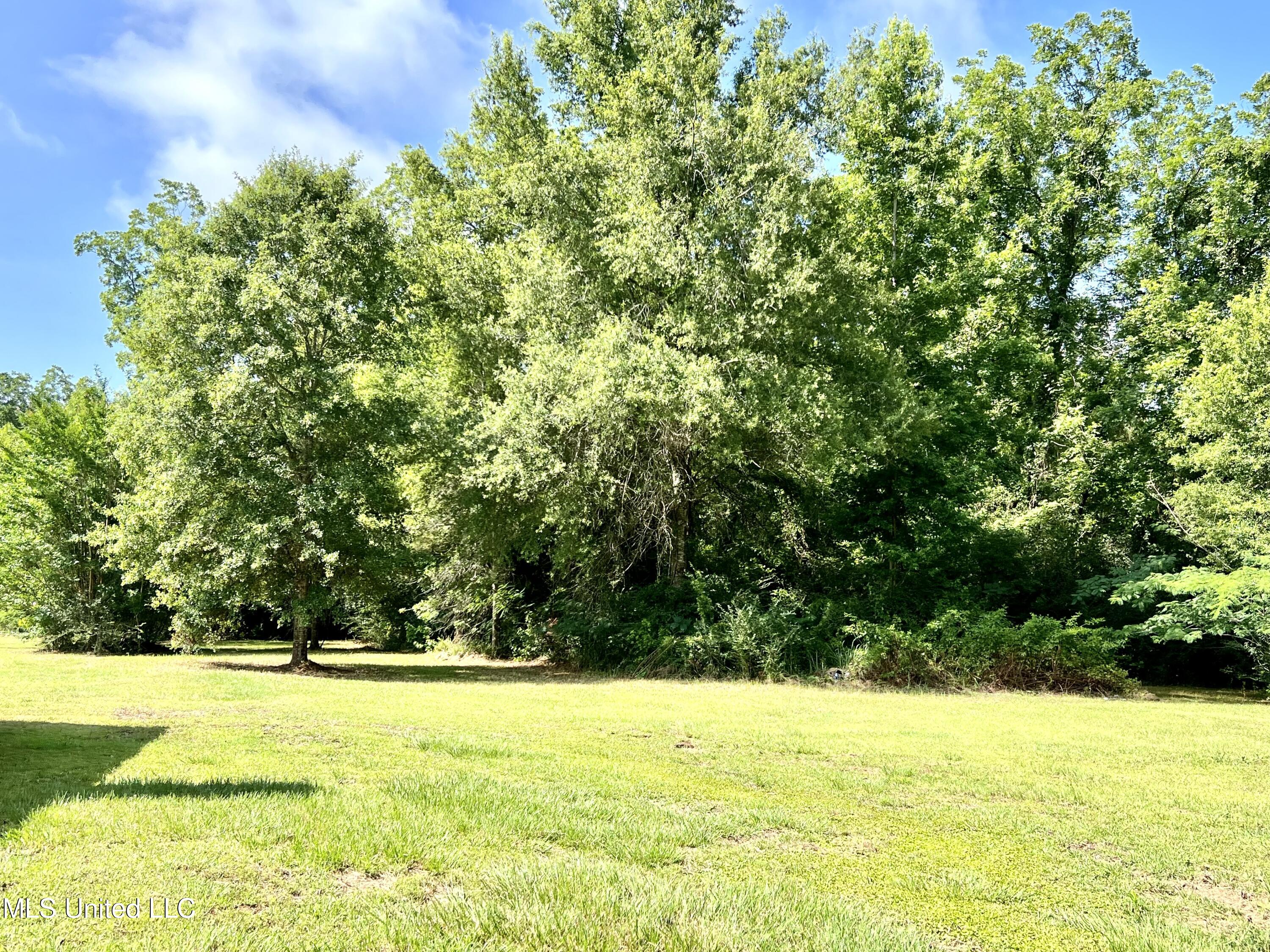 156 Wes Havard Road Lucedale, MS 39452 - Photo 38 of 42 18F12039-0241-403A-9BA3-38D64A6C9D7D