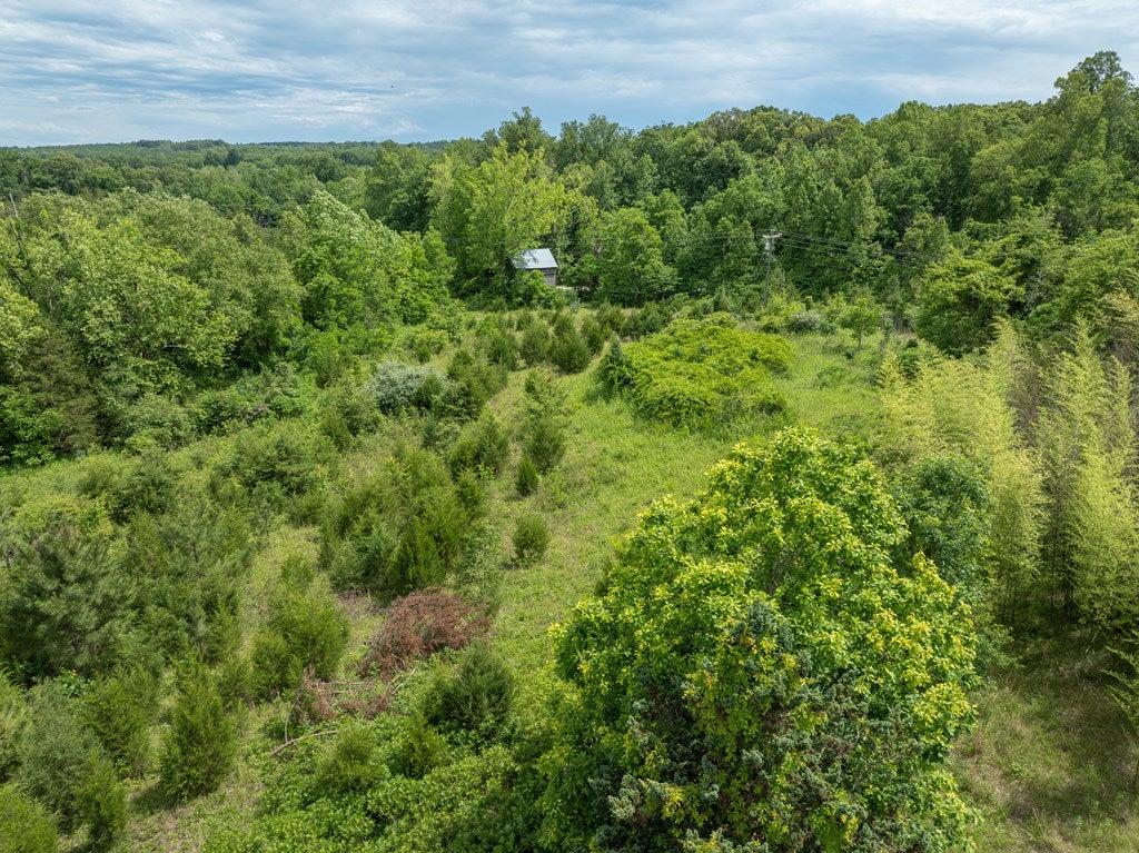 Featherfin Road, Unit 3B Prospect, VA 23960 - Photo 31 of 35 Gallery Image 31