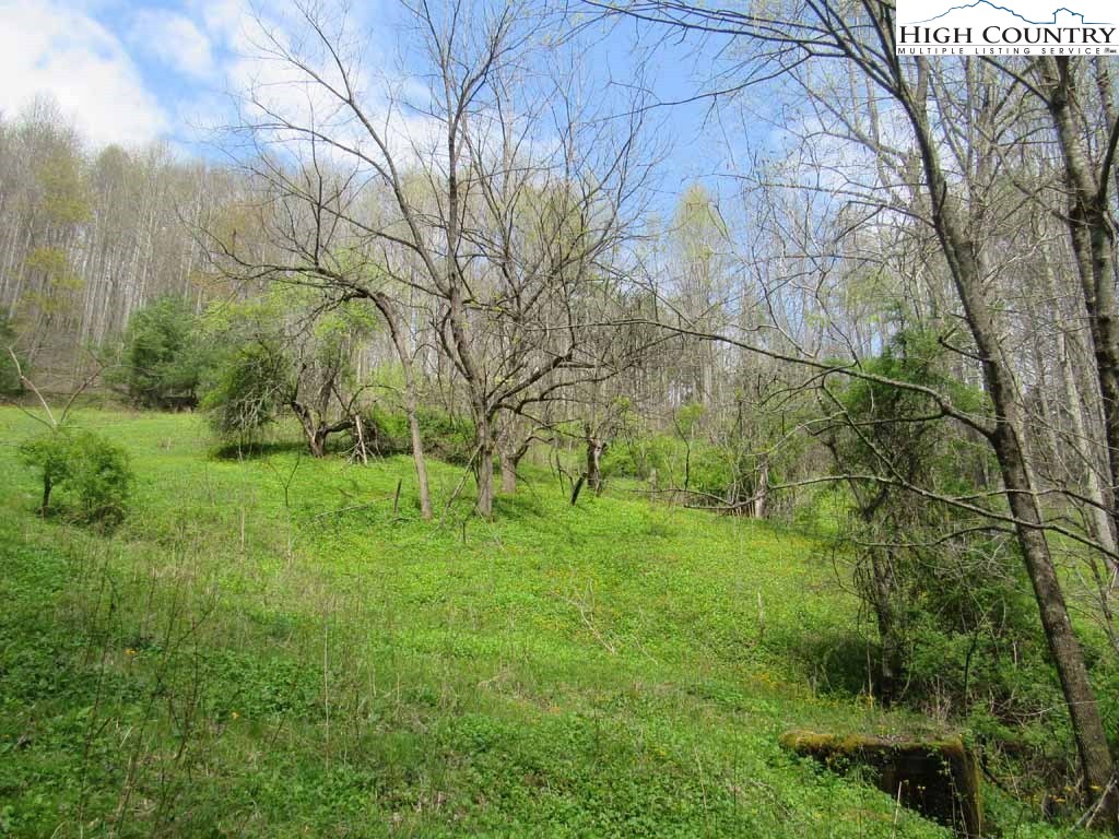 304 Pennington Branch Road Creston, NC 28615 - Photo 34 of 50 Gallery Image 34