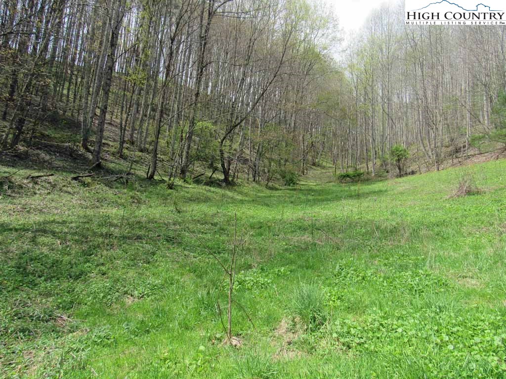 304 Pennington Branch Road Creston, NC 28615 - Photo 36 of 50 Gallery Image 36