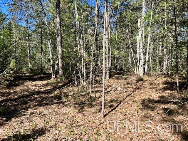 61 Little Rice Lk Road Lake Linden, MI 49945 - Photo 9 of 29