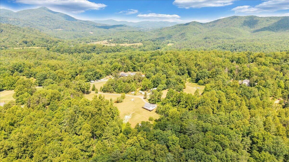 8501 Holly Tree Road Boones Mill, VA 24065 - Photo 47 of 59 47-DJI_20260622111704_0281_D