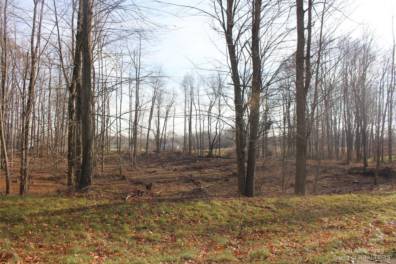 0 Lindsey Road, Unit 14 Clarklake, MI 49201 - Photo 1 of 2 Photo 1