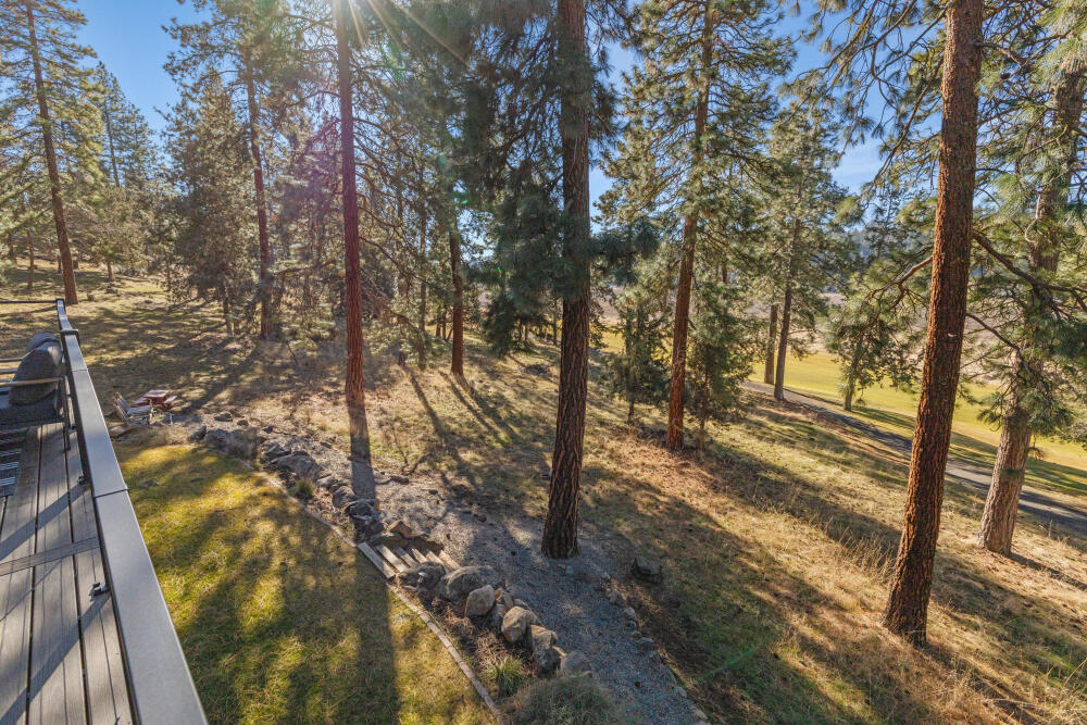11750 Merganser Road Klamath Falls, OR 97601 - Photo 50 of 66 a view of a yard with trees in the background
