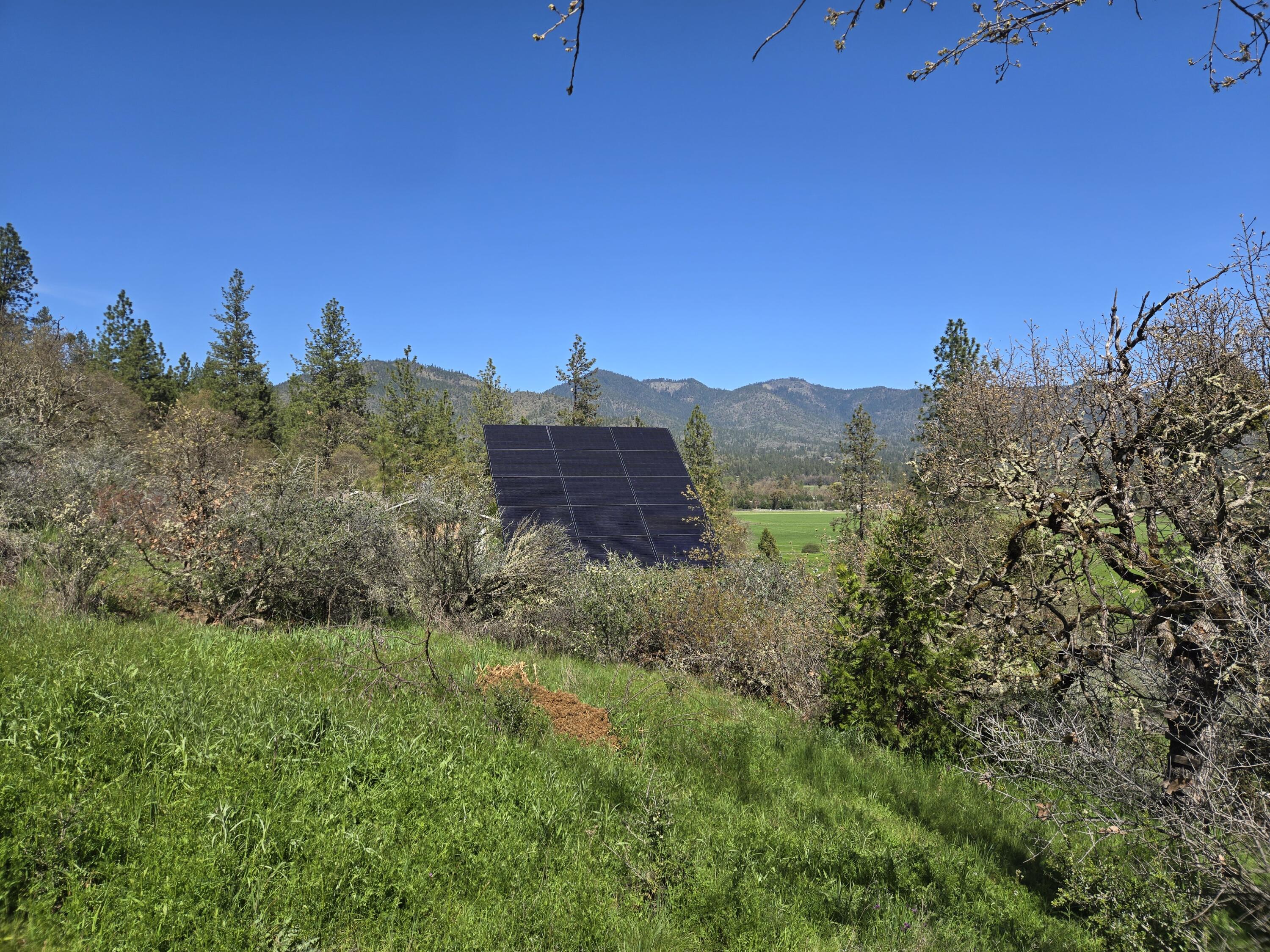 12726 Water Gap Road Williams, OR 97544 - Photo 28 of 47 a view of a lush green field