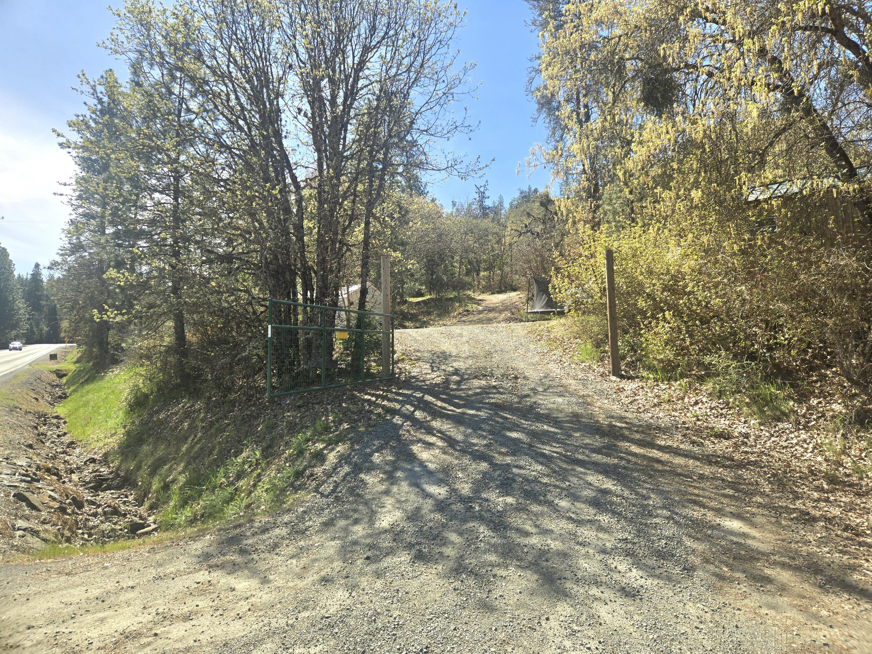 12726 Water Gap Road Williams, OR 97544 - Photo 3 of 47 a view of a yard with trees