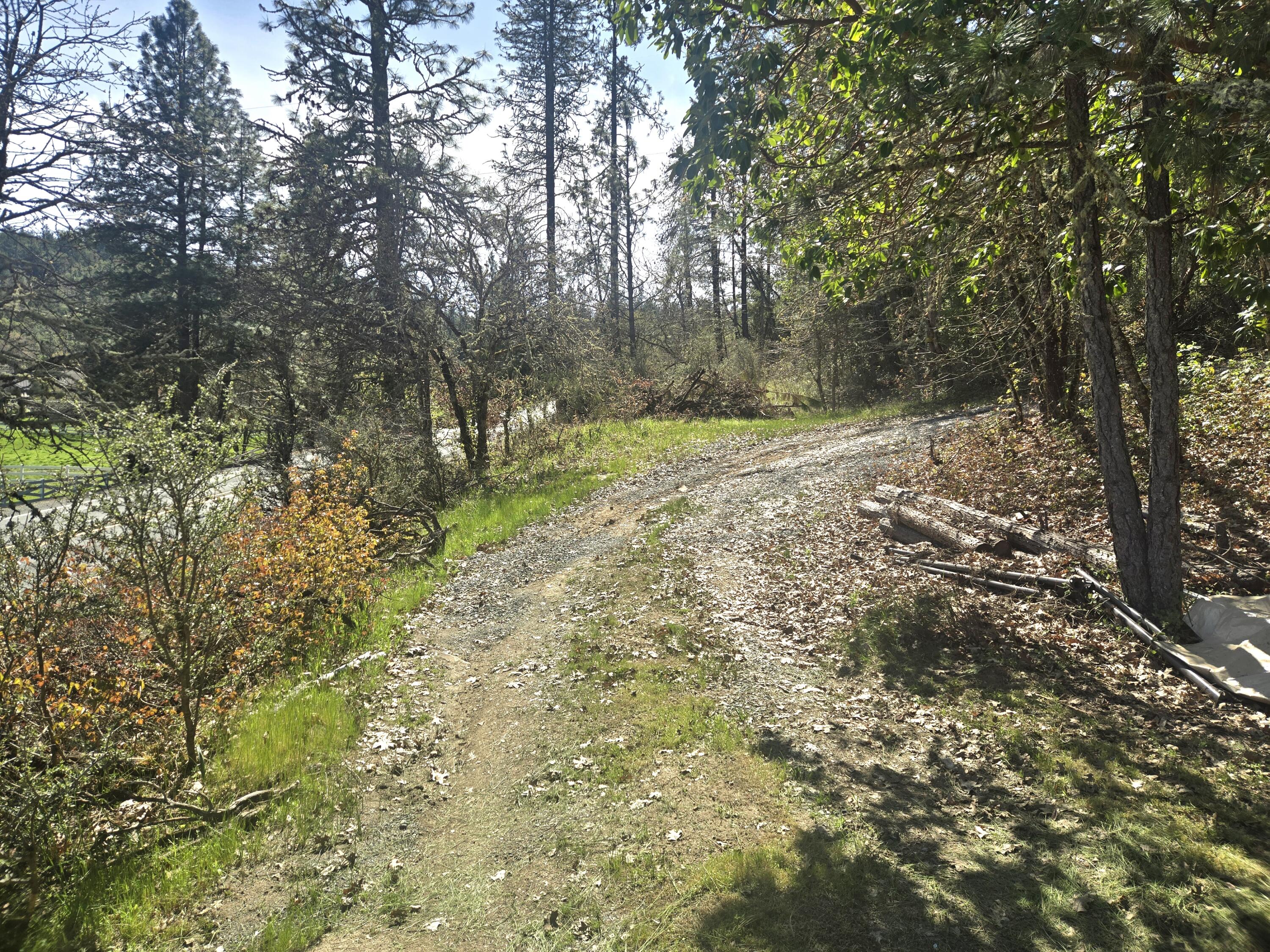 12726 Water Gap Road Williams, OR 97544 - Photo 38 of 47 a view of a yard with large trees