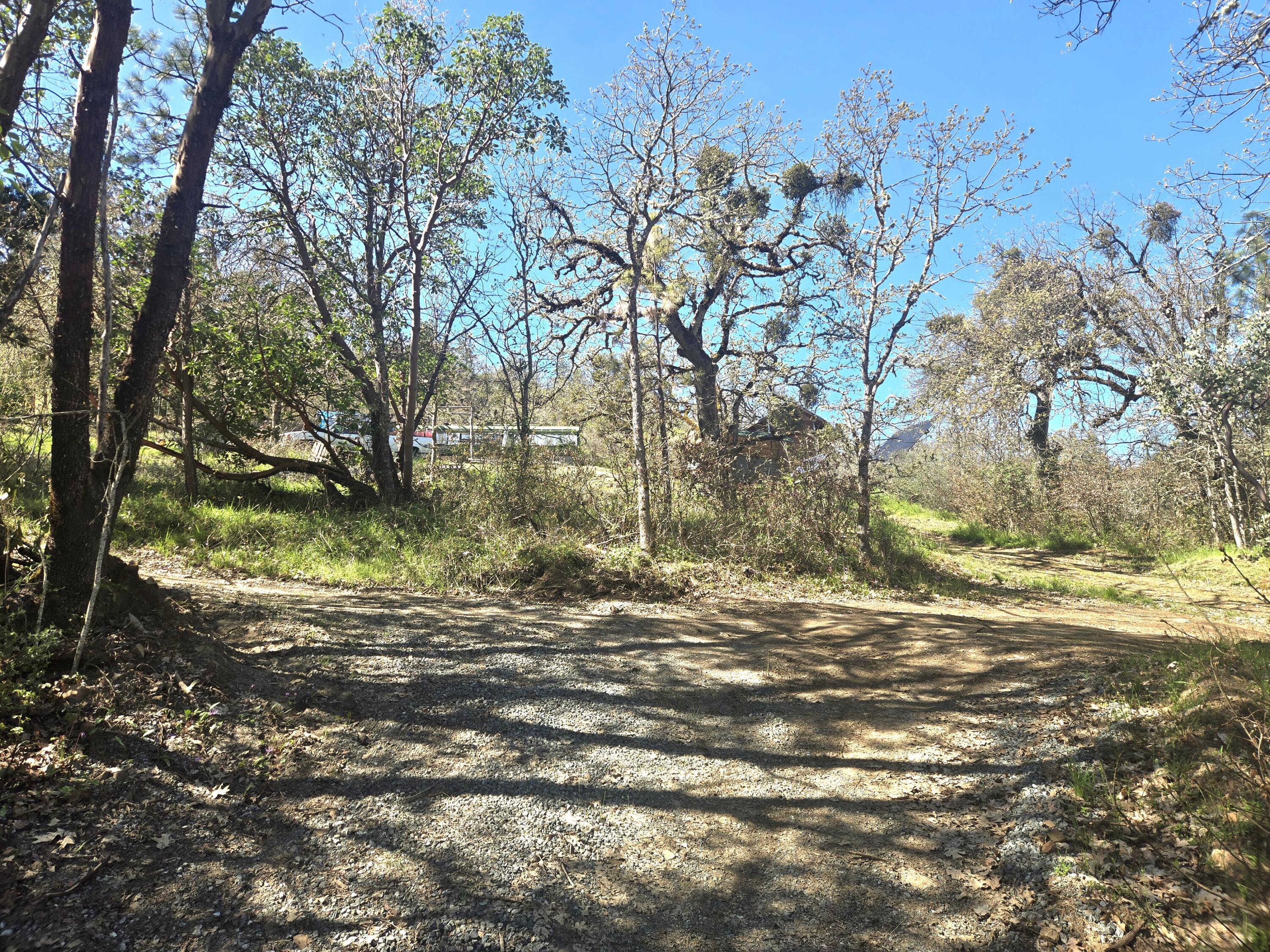 12726 Water Gap Road Williams, OR 97544 - Photo 39 of 47 a view of a yard with a tree