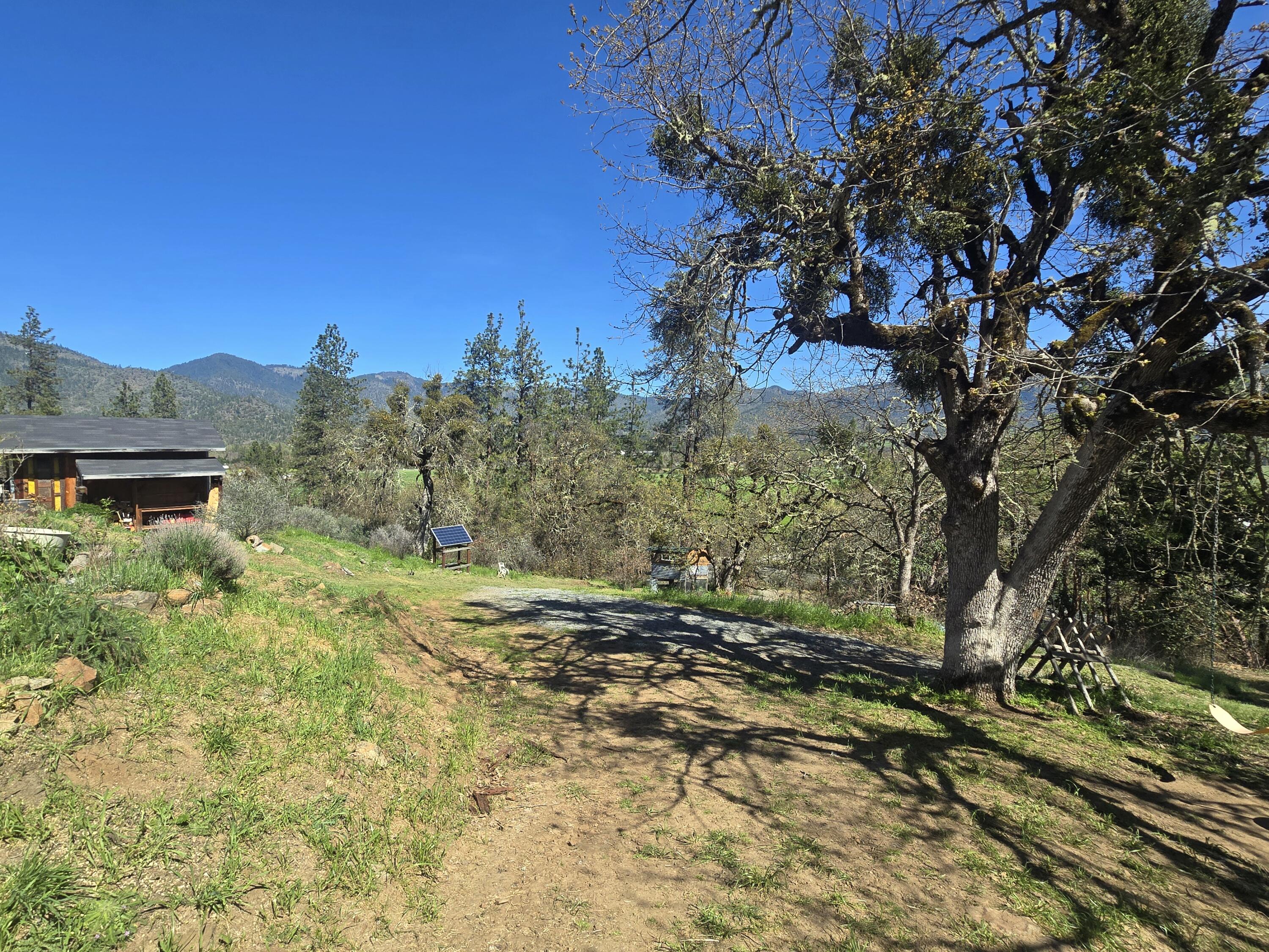 12726 Water Gap Road Williams, OR 97544 - Photo 45 of 47 a view of a yard with a tree
