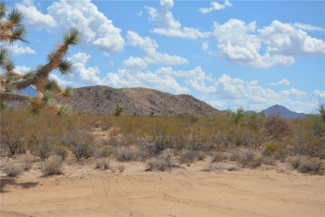 Lot P6 Suzette Road Yucca, AZ 86438 - Photo 11 of 100 View