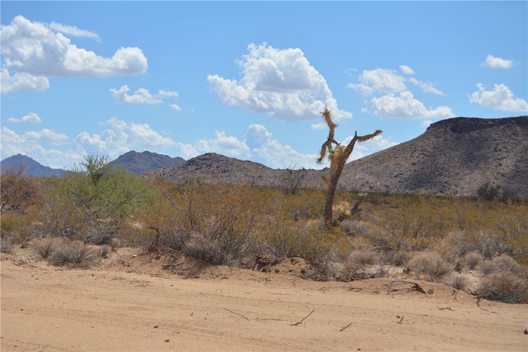 Lot P6 Suzette Road Yucca, AZ 86438 - Photo 12 of 100 View