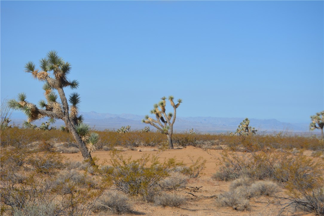 Lot P6 Suzette Road Yucca, AZ 86438 - Photo 14 of 100 View
