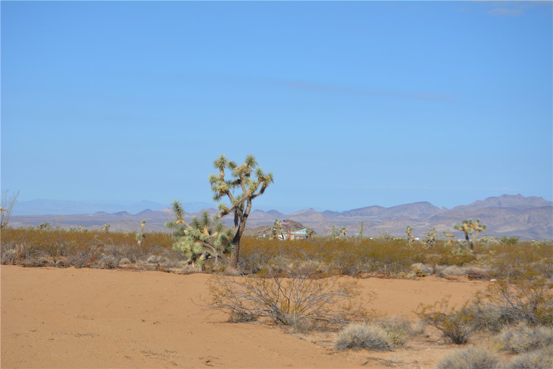 Lot P6 Suzette Road Yucca, AZ 86438 - Photo 16 of 100 View