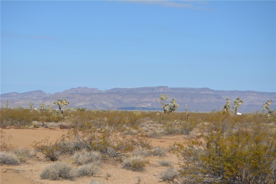 Lot P6 Suzette Road Yucca, AZ 86438 - Photo 17 of 100 View