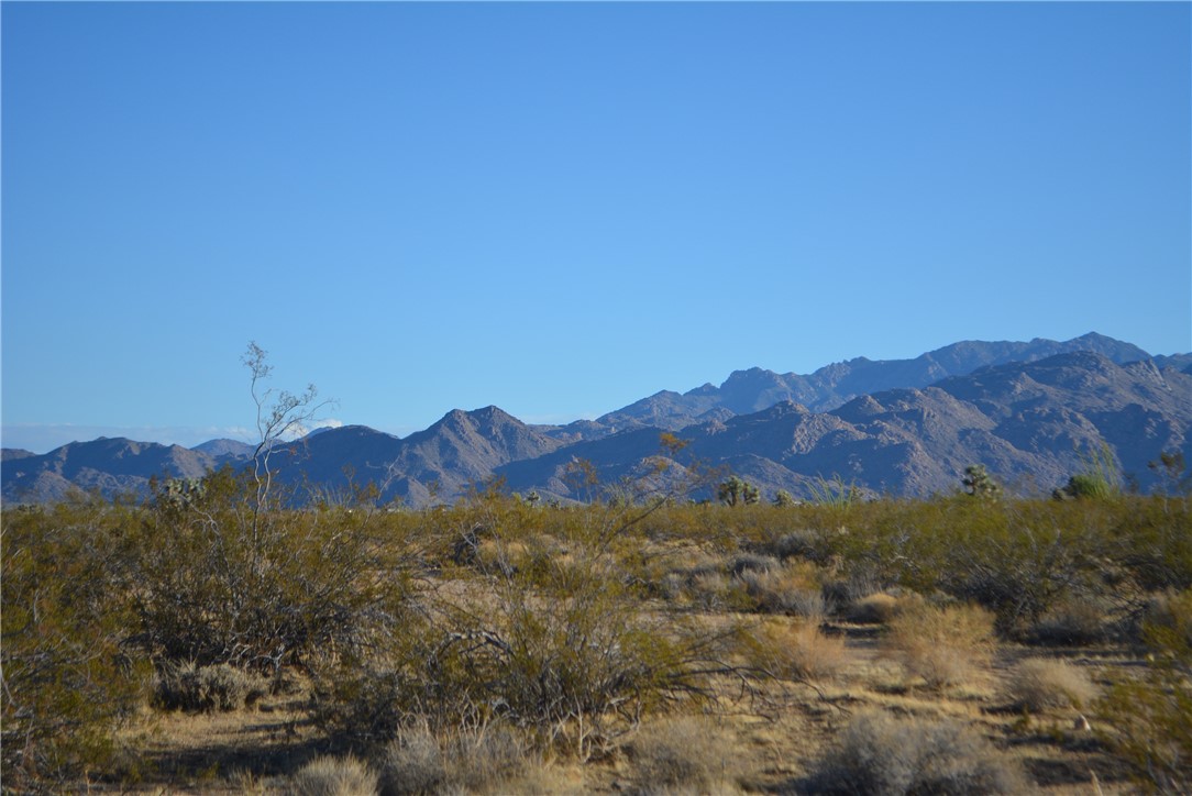 Lot P6 Suzette Road Yucca, AZ 86438 - Photo 18 of 100 View
