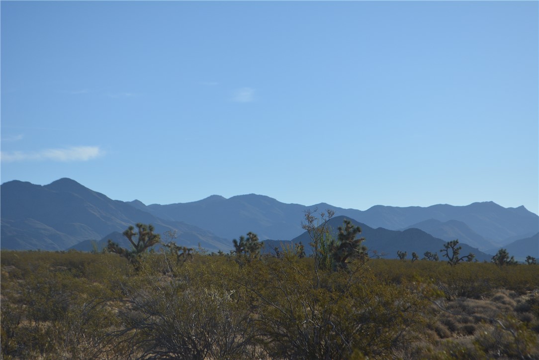 Lot P6 Suzette Road Yucca, AZ 86438 - Photo 19 of 100 View