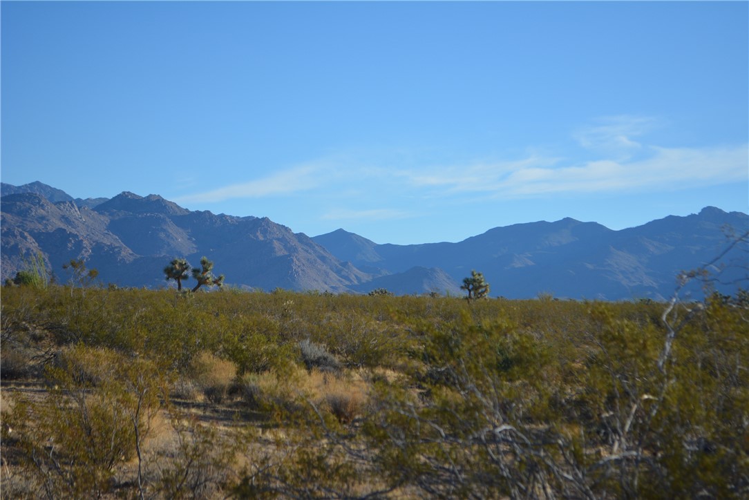 Lot P6 Suzette Road Yucca, AZ 86438 - Photo 21 of 100 View