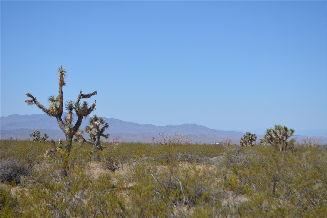 Lot P6 Suzette Road Yucca, AZ 86438 - Photo 24 of 100 Mohave Mountains