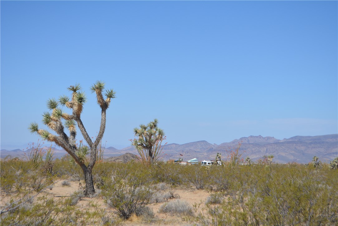 Lot P6 Suzette Road Yucca, AZ 86438 - Photo 27 of 100 View