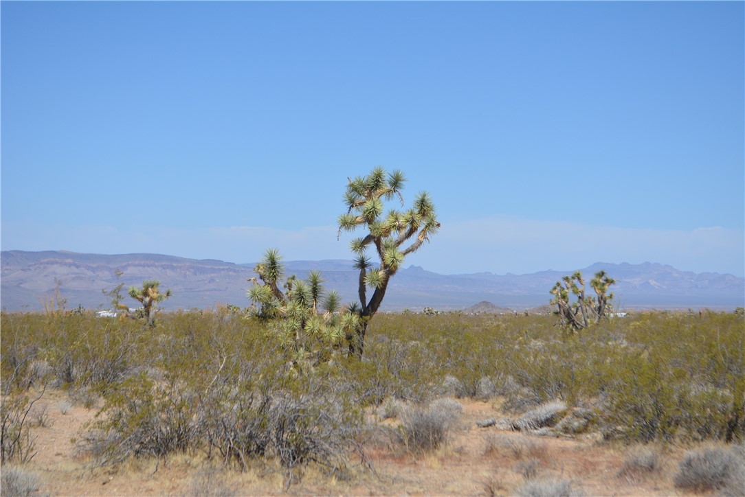 Lot P6 Suzette Road Yucca, AZ 86438 - Photo 28 of 100 View